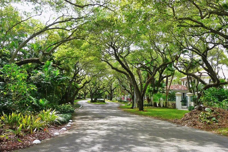 Calle residencial arbolada en Coral Gables, Florida